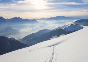 Various Forms of Gear Shaper Cutters 