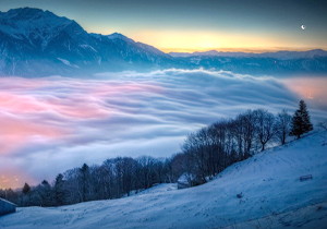 可提供盤形、碗形和錐柄形的高質(zhì)量插齒刀